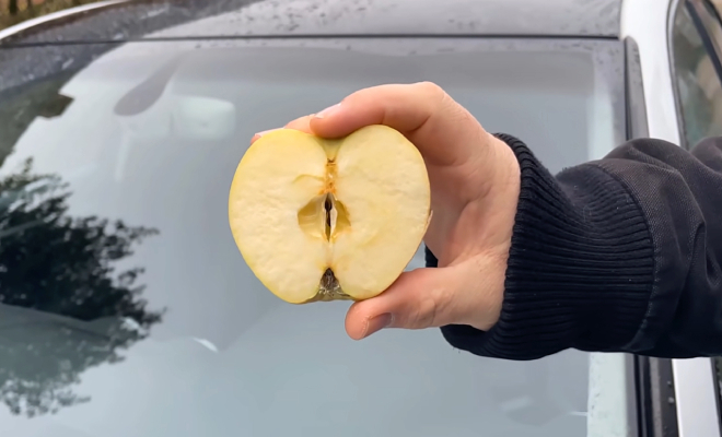 Кадр из видео @smartfoxofficial